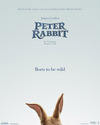 Póster de la película Peter Rabbit 2
