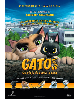 Película Gatos. Un Viaje de Vuelta a Casa