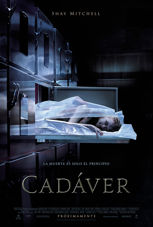 Póster de la película Cadáver