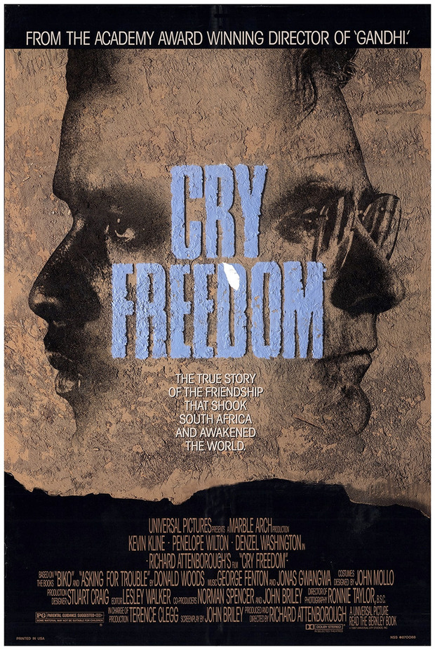 Póster de la película Grita Libertad