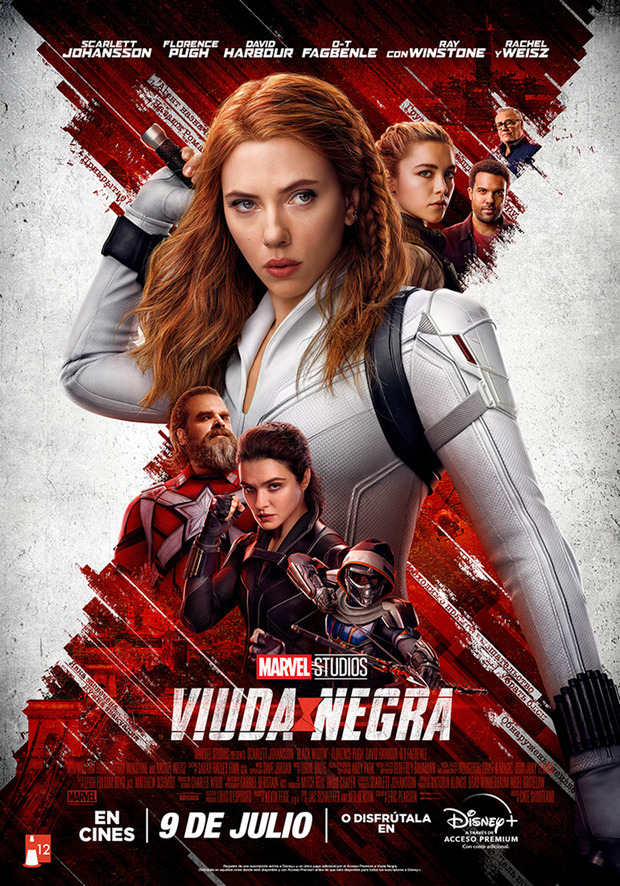 Póster de la película Viuda Negra