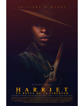 Película Harriet - En Busca de la Libertad