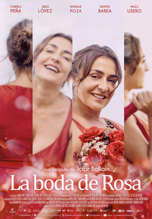 Póster de la película La Boda de Rosa