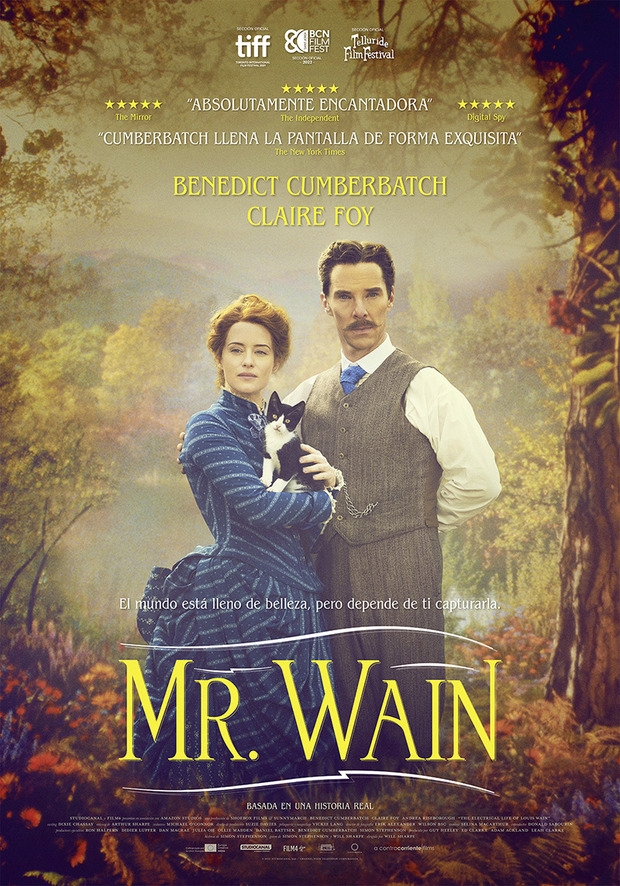 Póster de la película Mr. Wain