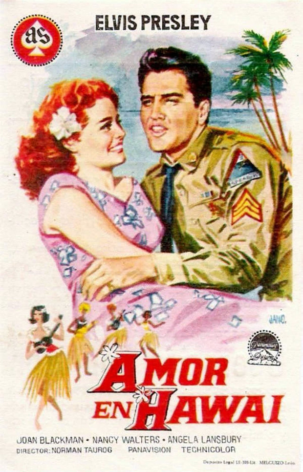 Póster de la película Amor en Hawái