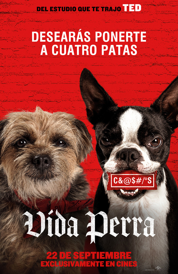 Póster de la película Vida Perra