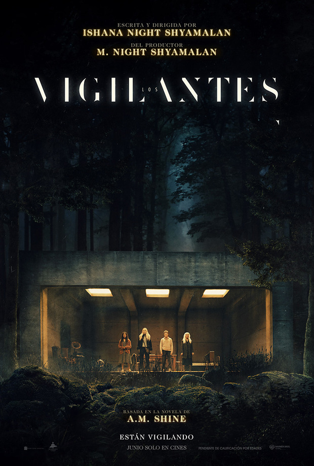 Póster de la película Los Vigilantes