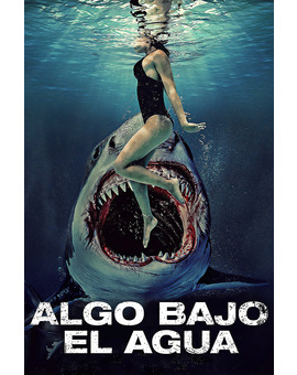 Película Algo Bajo el Agua