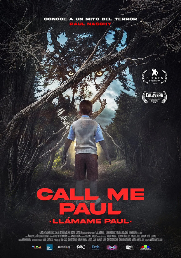 Póster de la película Call me Paul