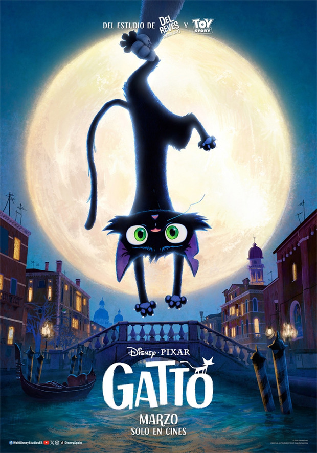 Póster de la película Gatto