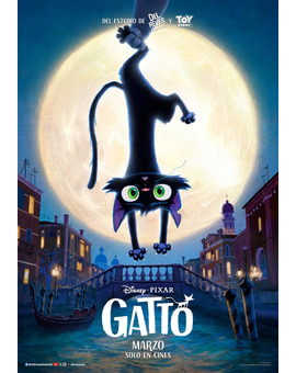 Película Gatto