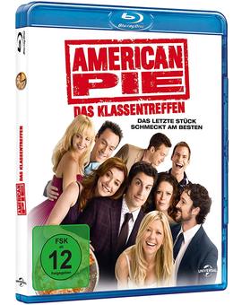 American Pie: El Reencuentro