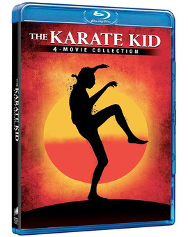 Colección Karate Kid/Cuatro películas con castellano