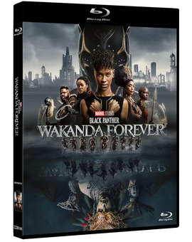 Black Panther: Wakanda Forever