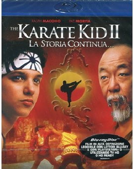 Karate Kid II