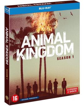 Animal Kingdom - Primera Temporada