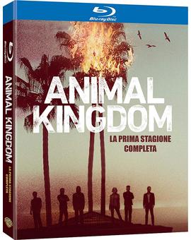 Animal Kingdom - Primera Temporada