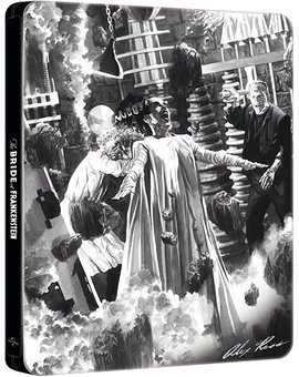 La Novia de Frankenstein - Edición Metálica Blu-ray 1