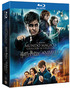 Pack Harry Potter + Animales Fantásticos - Colección 9 Películas Blu-ray