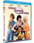Cómo Eliminar a su Jefe Blu-ray