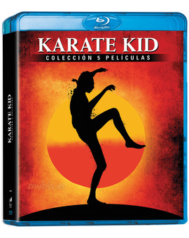 Karate Kid - Colección 5 Películas/