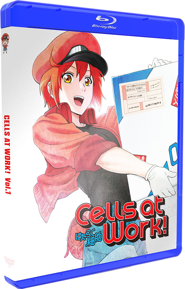 carátula Cells at Work! - Vol. 1 Blu-ray 1