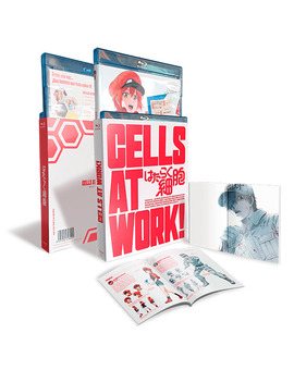 Cells at Work! - Serie Completa Blu-ray