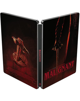 Maligno - Edición Metálica Blu-ray 2