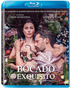 Un Bocado Exquisito Blu-ray