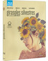 Girasoles Silvestres Blu-ray