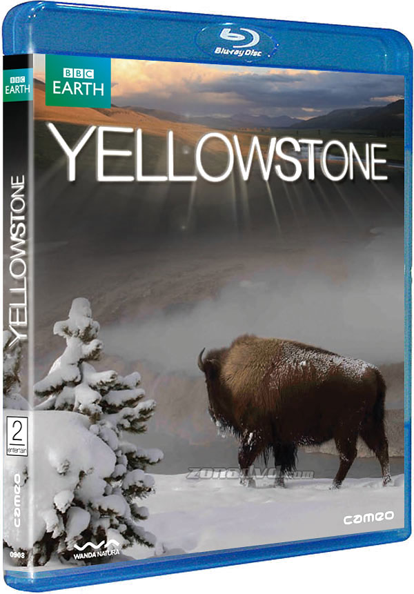Yellowstone Bluray