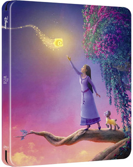 Wish: El Poder de los Deseos en Steelbook