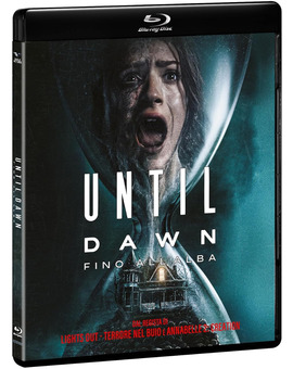 Until Dawn