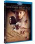 Océanos de Fuego (Hidalgo) Blu-ray