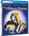 Vivir un Gran Amor Blu-ray