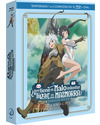 ¿Qué tiene de Malo intentar Ligar en una Mazmorra? Danmachi - Temporadas 1 a 4 Blu-ray