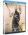 Juana-de-arco-blu-ray-xs