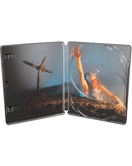 Posesión Infernal (Evil Dead) - Edición Metálica Ultra HD Blu-ray 5