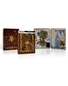 Prácticamente Magia - Edición Metálica Ultra HD Blu-ray
