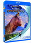 Dinosaurio-blu-ray-sp