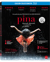 Pina-edicion-coleccionista-blu-ray-blu-ray-3d-p