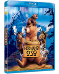 Hermano Oso Blu-ray