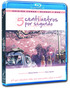 5 Centímetros por Segundo Blu-ray