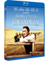 Horizontes-de-grandeza-blu-ray-sp