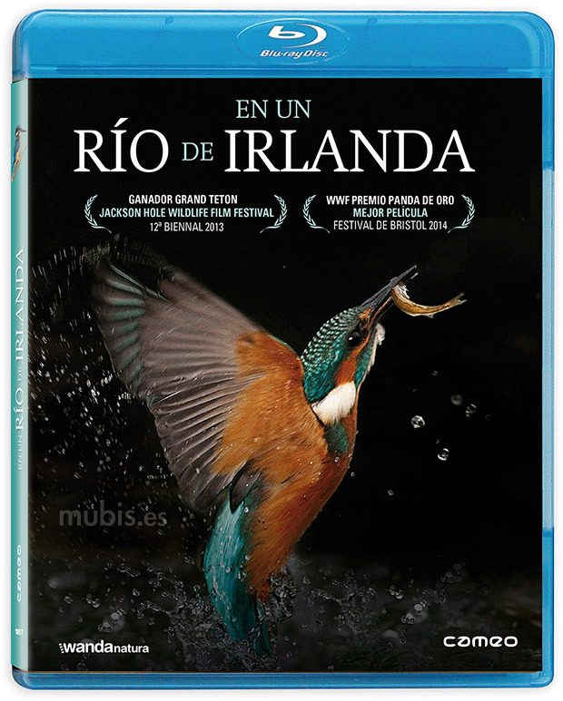 carátula En un Río de Irlanda Blu-ray 1