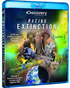 Racing Extinction Blu-ray