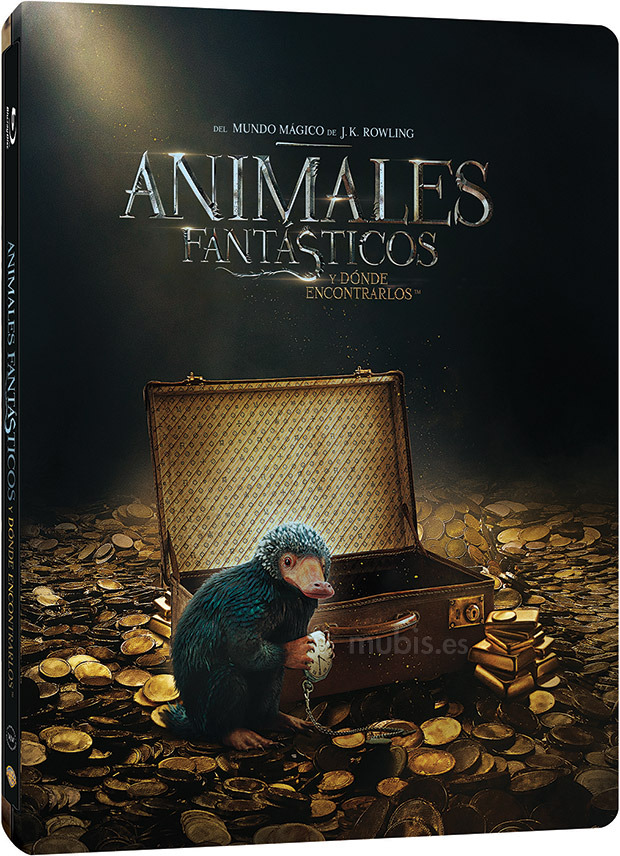 Animales Fantásticos y Dónde Encontrarlos - Edición Metálica Blu-ray