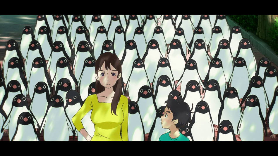 captura de imagen de Penguin Highway (El Misterio de los Pingüinos) - Otaku Edition Coleccionista Blu-ray - 16