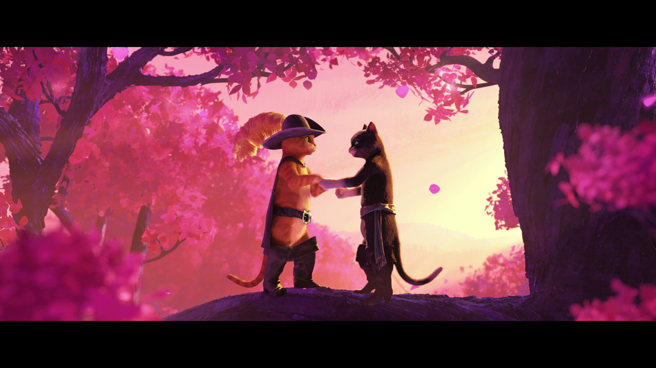 captura de imagen de El Gato con Botas: El Último Deseo Blu-ray - 13