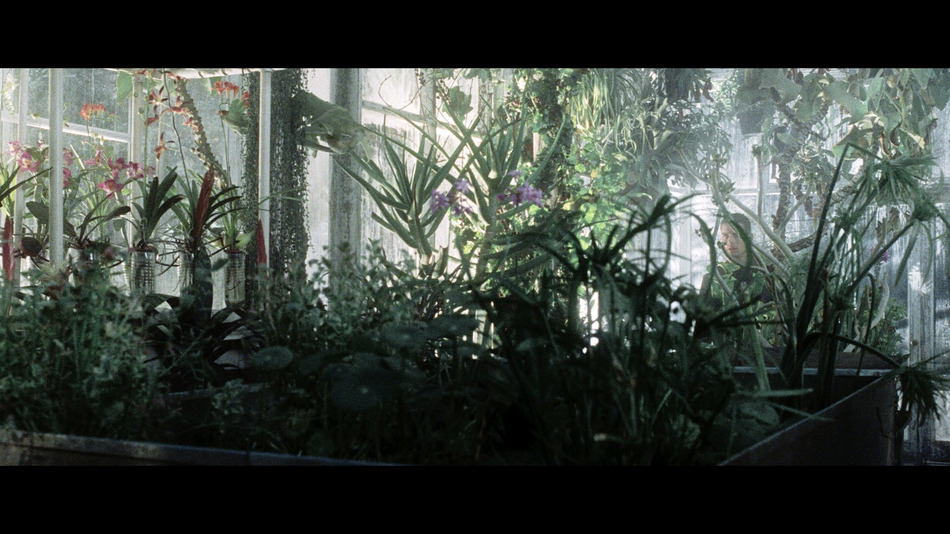 captura de imagen de Minority Report Blu-ray - 8